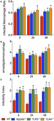 Toll-Like Receptor and miRNA-let-7e Expression Alter the Inflammatory Response in Leishmania amazonensis-Infected Macrophages